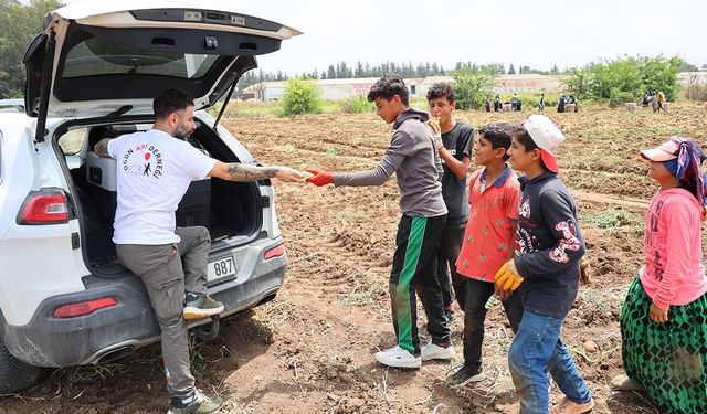 Tarlada çalışan çocuklara 'Dondurma' molası