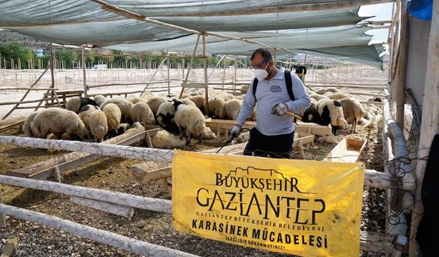 Gaziantep’te hazırlık tamam!