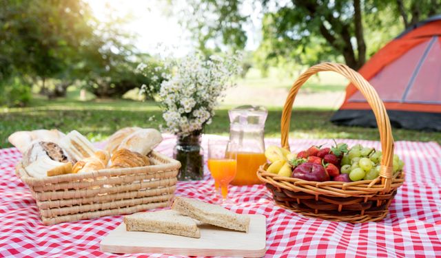 İdeal piknik nasıl olmalı?