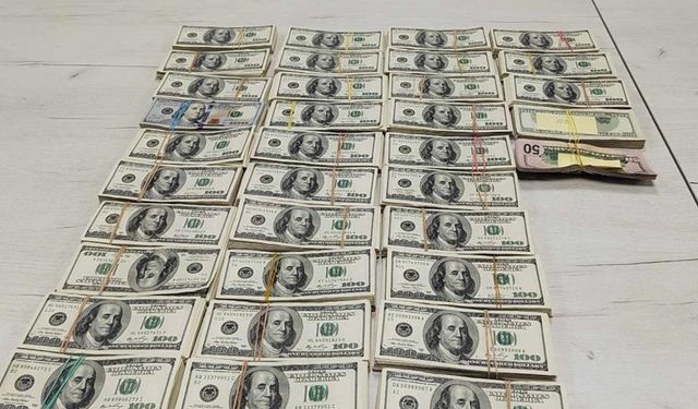 340 bin dolar gümrüğe takıldı