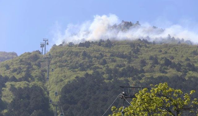 Son dakika... Gaziantep'te orman yangını çıktı, Binlerce ağaç yandı