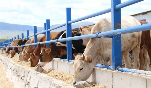 Gaziantep’te kurban kesim yerleri belirlendi