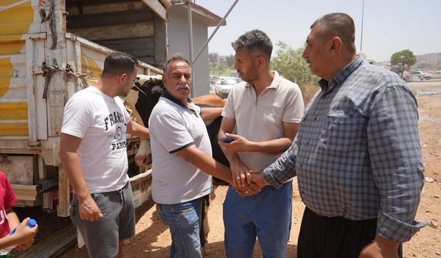 Gaziantep'te pazarlık kızıştı!