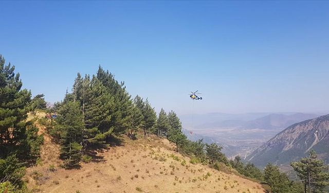 Gaziantep'te ormanlık alandaki yangın söndürüldü!