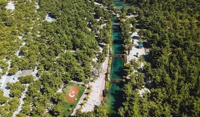 Dülükbaba Ormanı’ndaki yangından güzel haber…