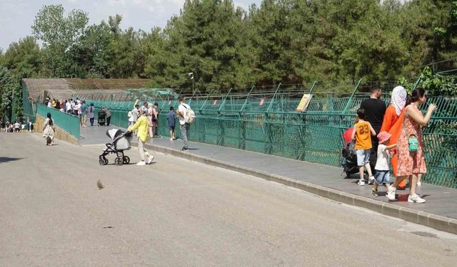 Gaziantep Doğal Yaşam Parkı’na büyük ilgi