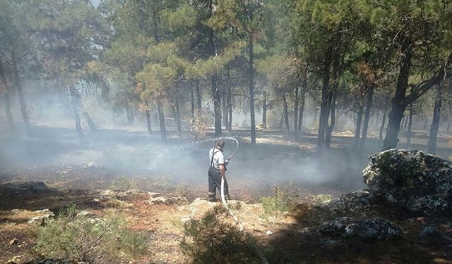 Dülükbaba yangını ile ilgili Gaziantep Valiliği’nden son dakika açıklaması ..