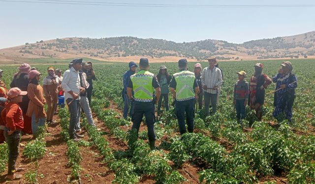 Gaziantep'te mevsimlik tarım işçilerine eğitim