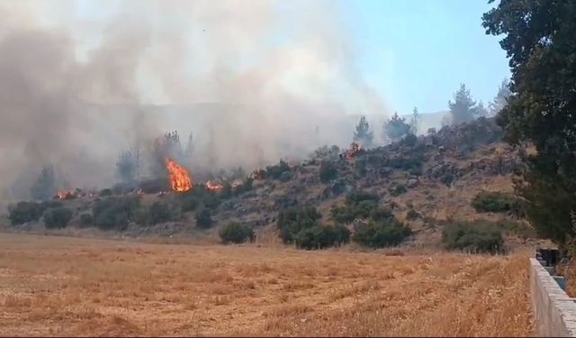 İslahiye'de 30 dönüm orman zarar gördü