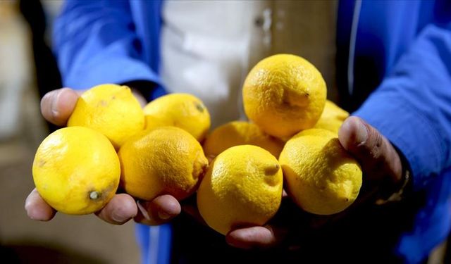 Limonu böyle tüketenler yaşadı!