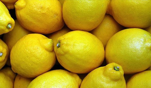 Koltuk altına limon sürmek ter kokusunu giderir mi?