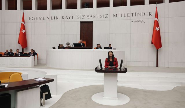 Gaziantep Milletvekili  Karaca’dan TBMM'de  sert çıkış