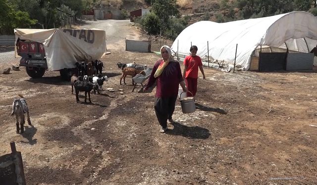 Gaziantep'te depremzede üreticiye devlet eli