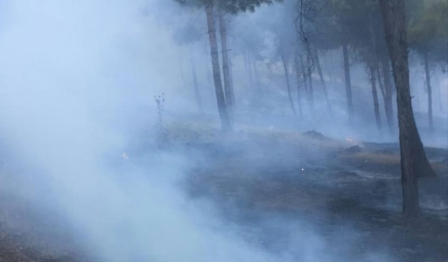 Gaziantep'te korkutan yangın!