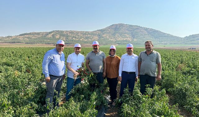 Gaziantep’te biber üreticilerine destek