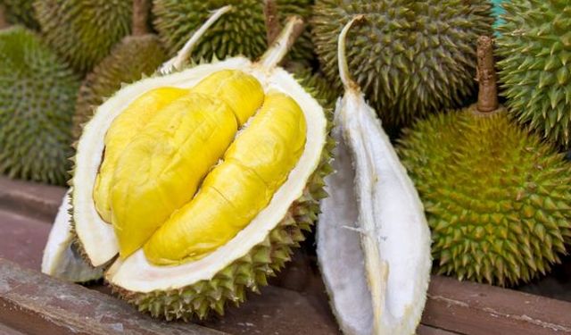 Durian meyvesinin bilinmeyen faydaları!