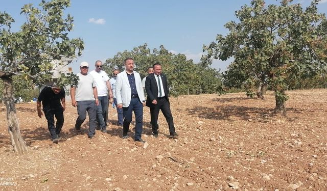 Gaziantep’te Yeniden Refah fıstık üreticisinin sesi oldu