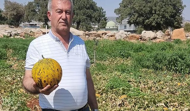 Gaziantep’te çiftçiler mağdur edildi