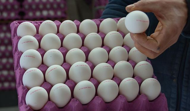 Yumurta Satışına Yeni Kurallar Geldi