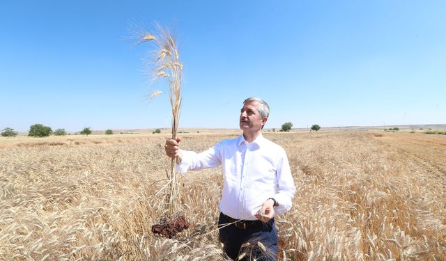 Çifti dostu Şahinbey!