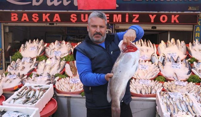 Gaziantep’te balık tüketimi arttı!