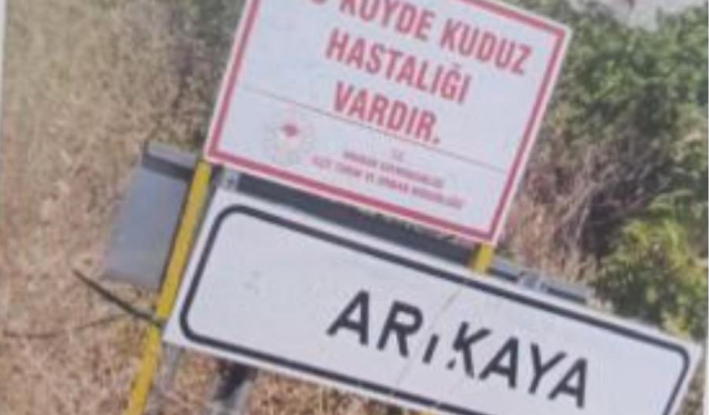 Gaziantep’te kuduz alarmı!