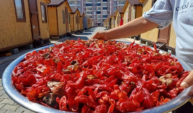 Araban’daki depremzedeler kışa hazırlanıyor