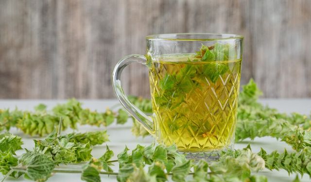 Moringa Çayı Nasıl Hazırlanır? Faydalarını Öğrenin!