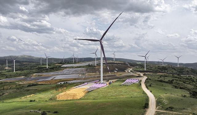 Küresel Rüzgar Enerjisi Konseyi'nden Türkiye'ye övgü