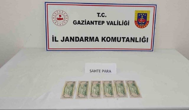 Sahte para yapan şahsa jandarmadan suçüstü