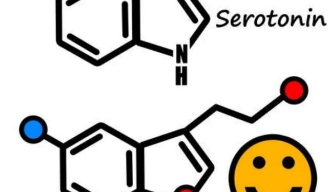 Serotonin Nedir? Ruh Halinizi Destekleyen Doğal Kaynaklar