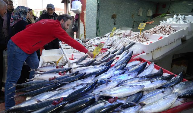 Fırtına dindi! Balıkçı tezgahları şenlendi