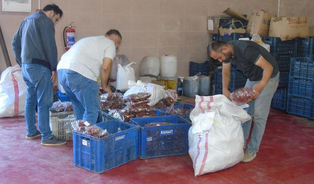 Gaziantep'te çiftçilere destek