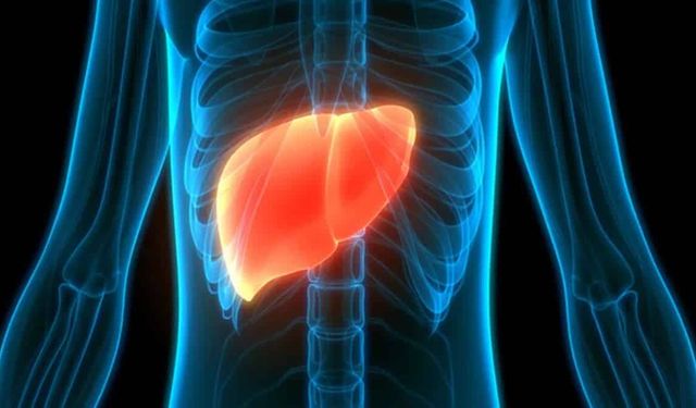 Hepatomegali Nedir? Karaciğer Büyümesinin Sebepleri