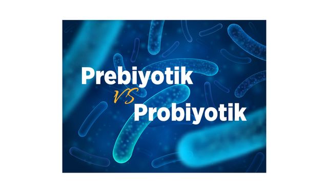 Prebiyotik ve Probiyotik Nedir? Farkları Neler?