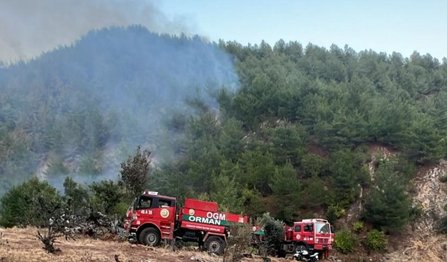 Gaziantep'in ciğerleri yandı!