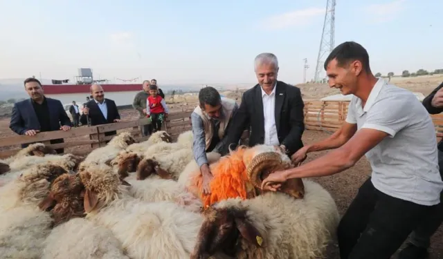 Şahinbey'in desteği işe yaradı