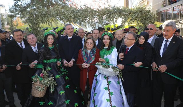 Zeytin Festivali coşkuyla kutlandı