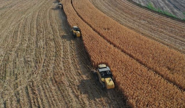 Tarım Bakanlığı’ndan çiftçilere destek ödemesi