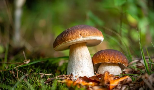 Doktorlar Uyarıyor: Bu Mevsimde Risk Çok Yüksek