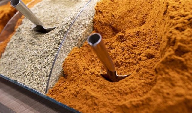 Türk Baharatı 156 Ülkenin Mutfağında