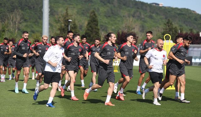 A Milli Takım Aday Kadrosunda Değişiklik