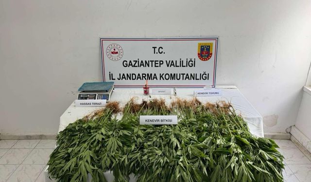 Gaziantep’te Jandarmadan Tacirlere Operasyon!