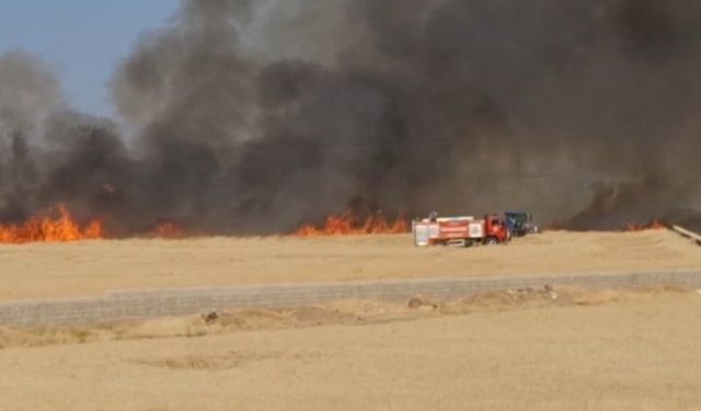 Gaziantep'te Çiftçinin Emeğine Ateş Düştü