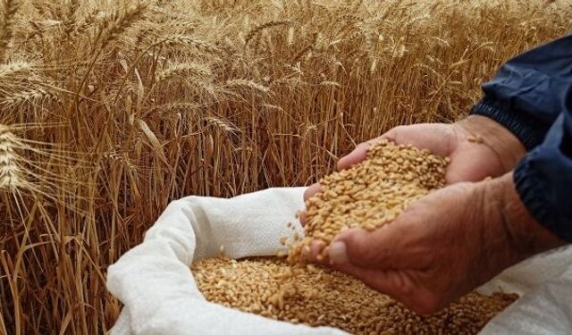 Çiftçi Emeğinin Karşılığını Alamıyor