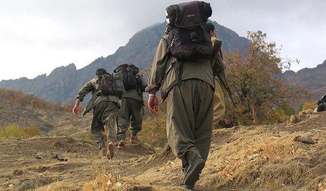 PKK'lılara Tazminat Hakkı mı Doğuyor?