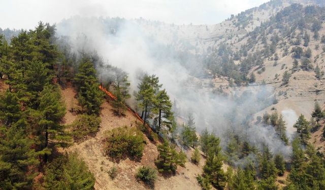 Adana’da Orman Yangını Sürüyor