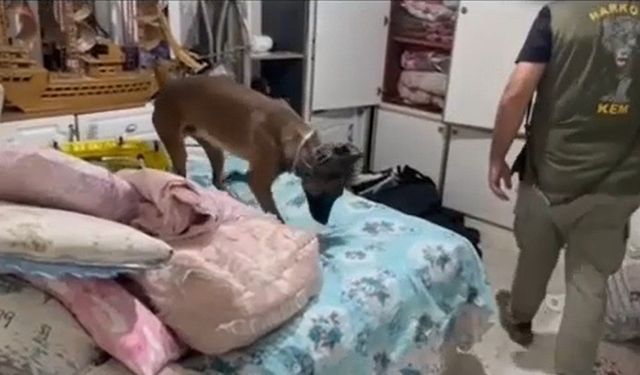 Sıradan Bir Evdi…Ta ki Bavullar Açılana Kadar!