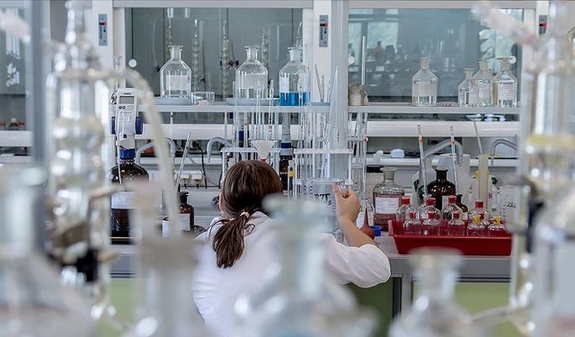 Kimya Sektöründen Tarihi Rekor