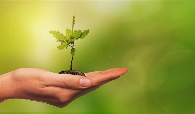 Gaziantep’te Yeşil Alanlara 41’inci Katkı